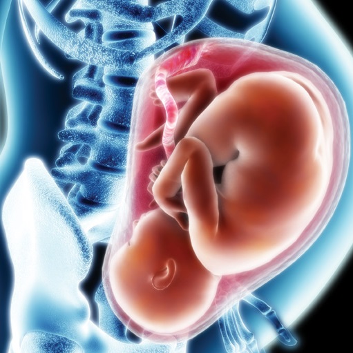 ویروس کرونا در بارداری